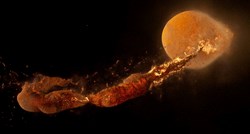 Mjesec se prije više milijardi godina okrenuo iznutra prema van, tvrde znanstvenici