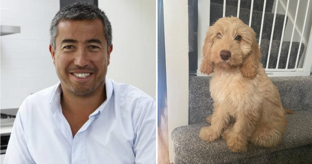 Zaposlenik tražio plaćeni dopust jer je nabavio psa, iznenadit će vas što drugi misle