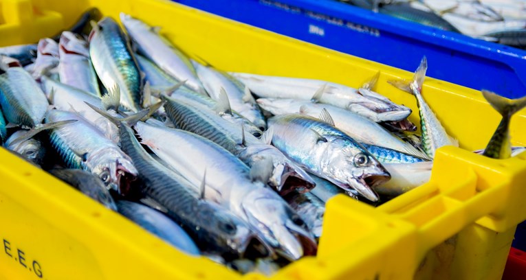 Tamna strana prehrambene industrije i prevare koje treba izbjegavati: Riba