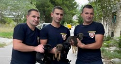 Vatrogasci iz Mostara spasili četiri psića koja su bila zaglavljena u kanalu