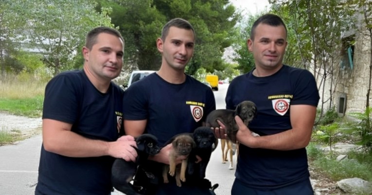 Vatrogasci iz Mostara spasili četiri psića koja su bila zaglavljena u kanalu