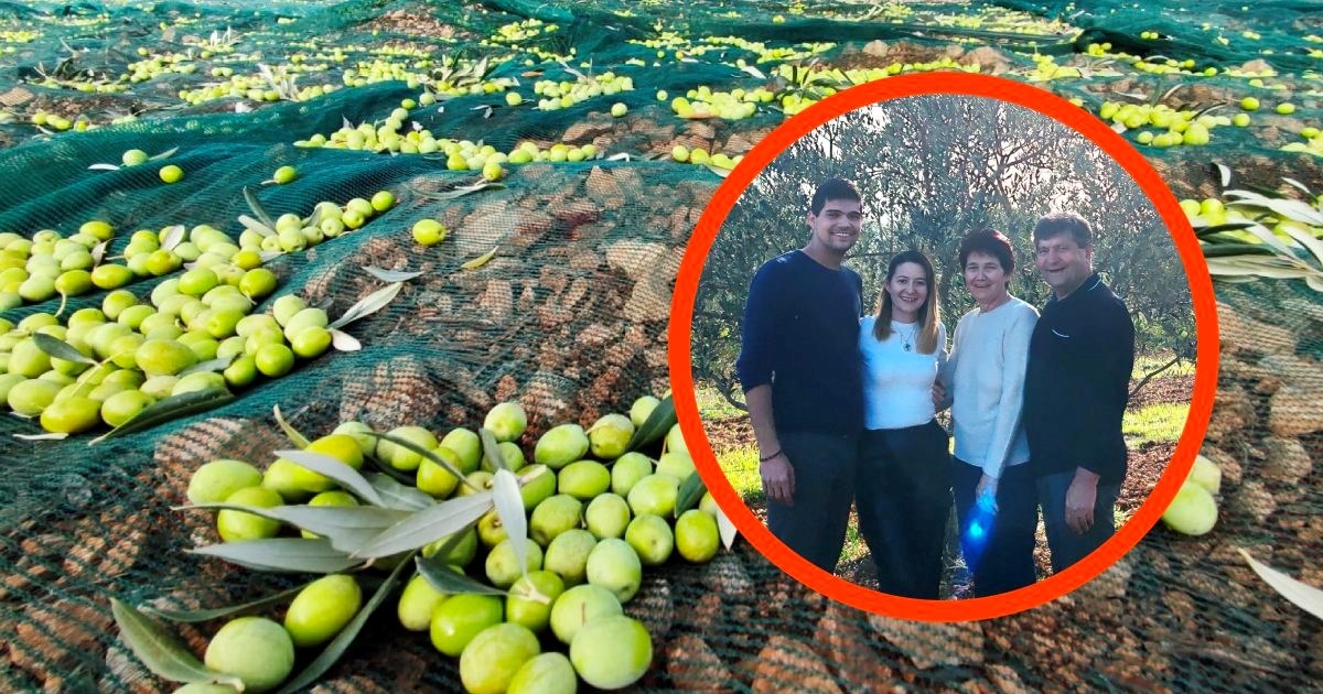 Njihovo maslinovo ulje osvojilo je srebro na prestižnom natjecanju u New Yorku