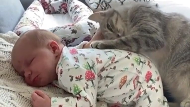 Mačka vidjela da vlasnica mazi svoju bebu pa se odmah i ona ubacila u zagrljaj