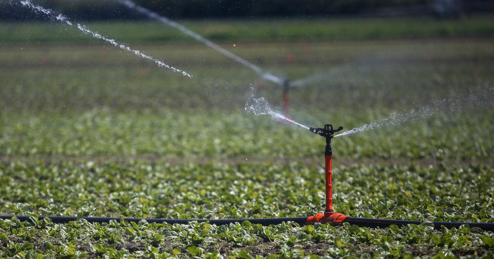Splitsko-dalmatinska županija sufinancira sustave navodnjavanja