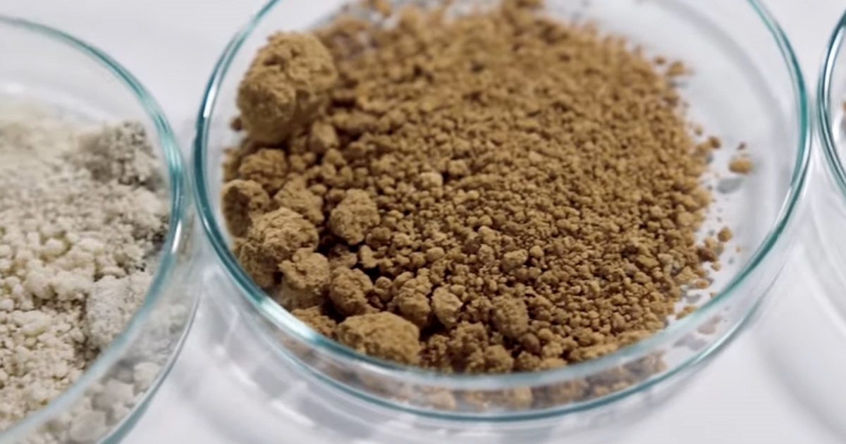 VIDEO Finski znanstvenici uzgojili kavu u laboratoriju