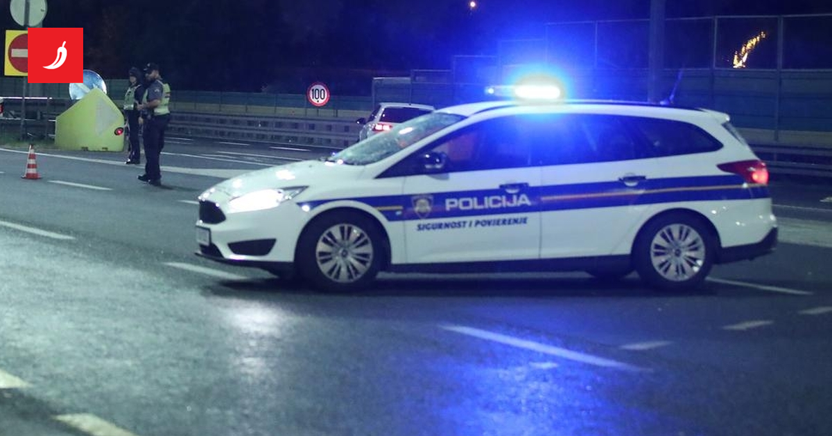 Tijekom rutinske kontrole riječki policajci uhvatili bjegunca kojeg traži Njemačka Tijekom rutinske kontrole riječki policajci uhvatili bjegunca kojeg traži Njemačka