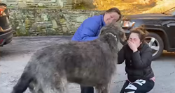 Vlasnica nije mogla prestati plakati nakon što je pronašla svog izgubljenog psa