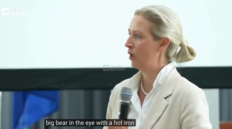 Šefica AfD-a: Ukrajinski udari duboko u Rusiji ugrožavaju sigurnost Njemačke