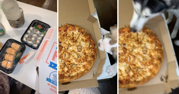 Prijateljice naručile pizzu, ali kraj gladnog haskija su ostale praznih ruku