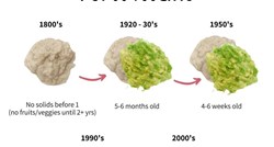 Evo kako su se preporuke o uvođenju dohrane mijenjale tijekom posljednjih sto godina