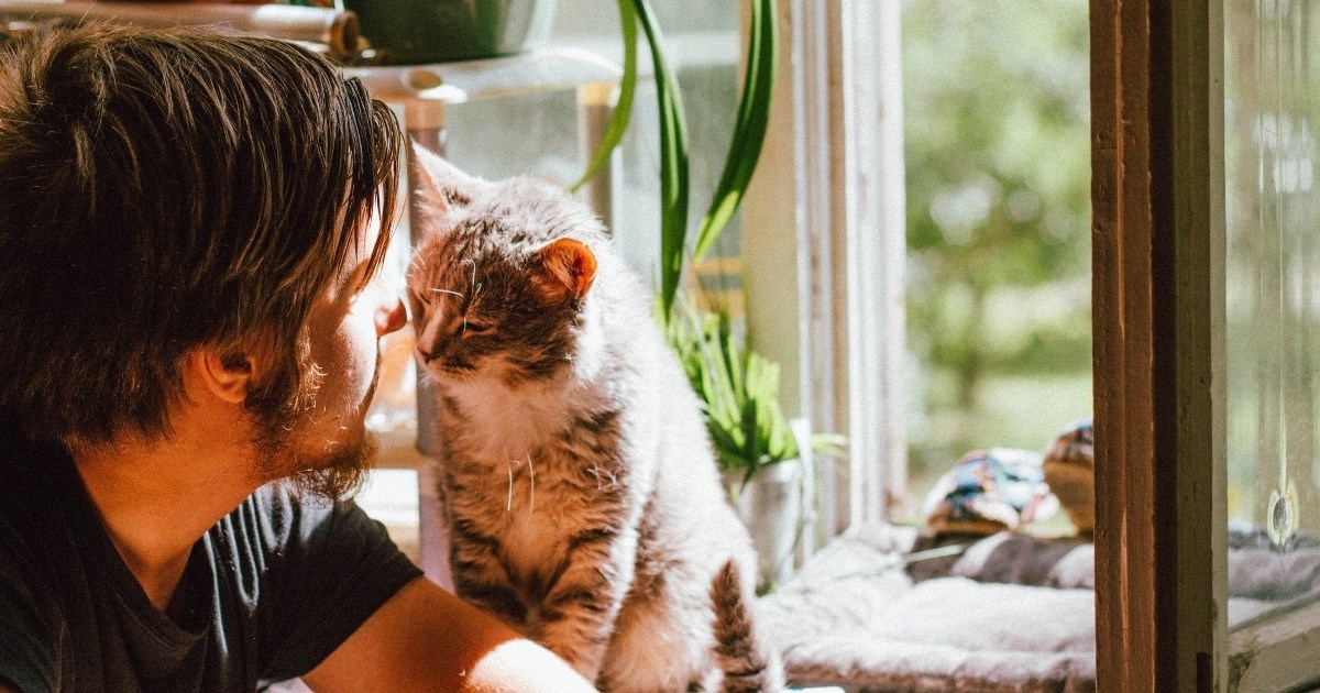 8 najboljih kućnih ljubimaca za mentalno zdravlje, prema psihijatrici