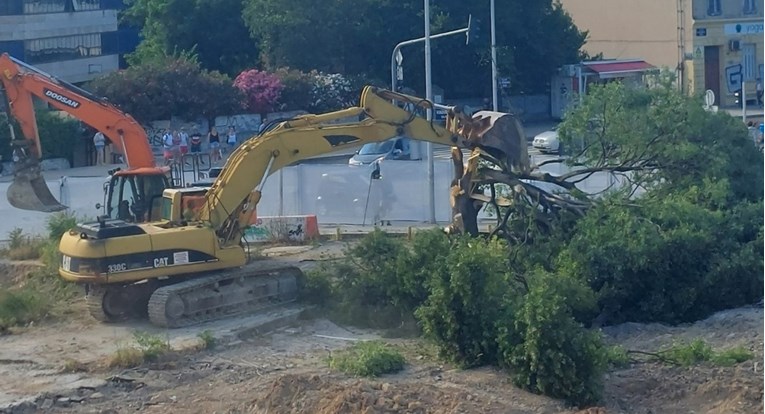 VIDEO U Splitu srušeno jedno od najvećih i najstarijih stabala, građani ogorčeni