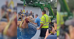 Konj potražio spas od vrućina u bazenu, morali su ga spašavati vatrogasci