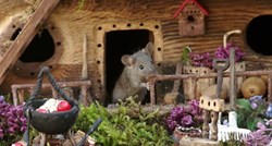 Čovjek izgradio minijaturno selo za miša u svom dvorištu, fotografije su nevjerojatne