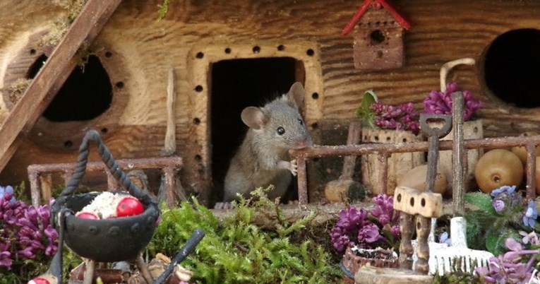 Čovjek izgradio minijaturno selo za miša u svom dvorištu, fotografije su nevjerojatne
