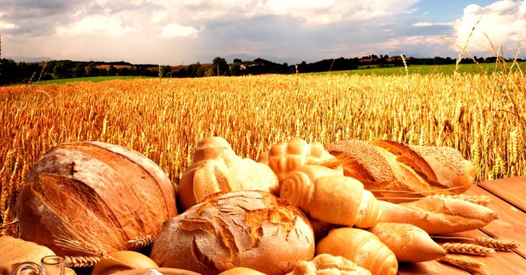 Drama u mlinarskoj industriji: Cijene lete u nebo, teško je naći kvalitetnu pšenicu