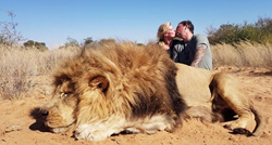 Muž i žena se besramno ljubili na fotografiji kraj lavova koje su ubili