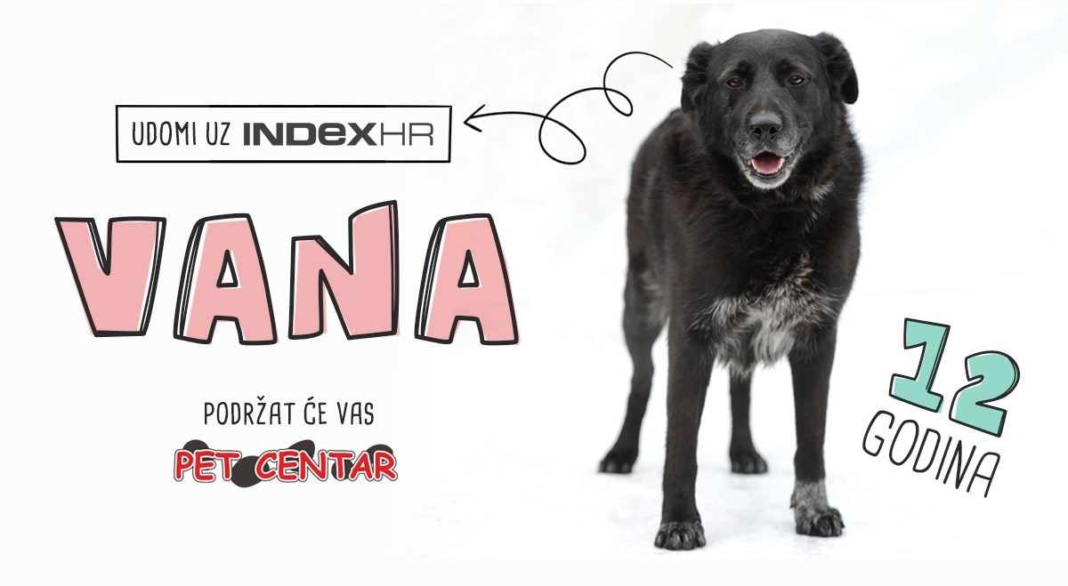 Vana ima samo jednu želju - pronaći topli dom. Ti joj tu želju možeš ispuniti