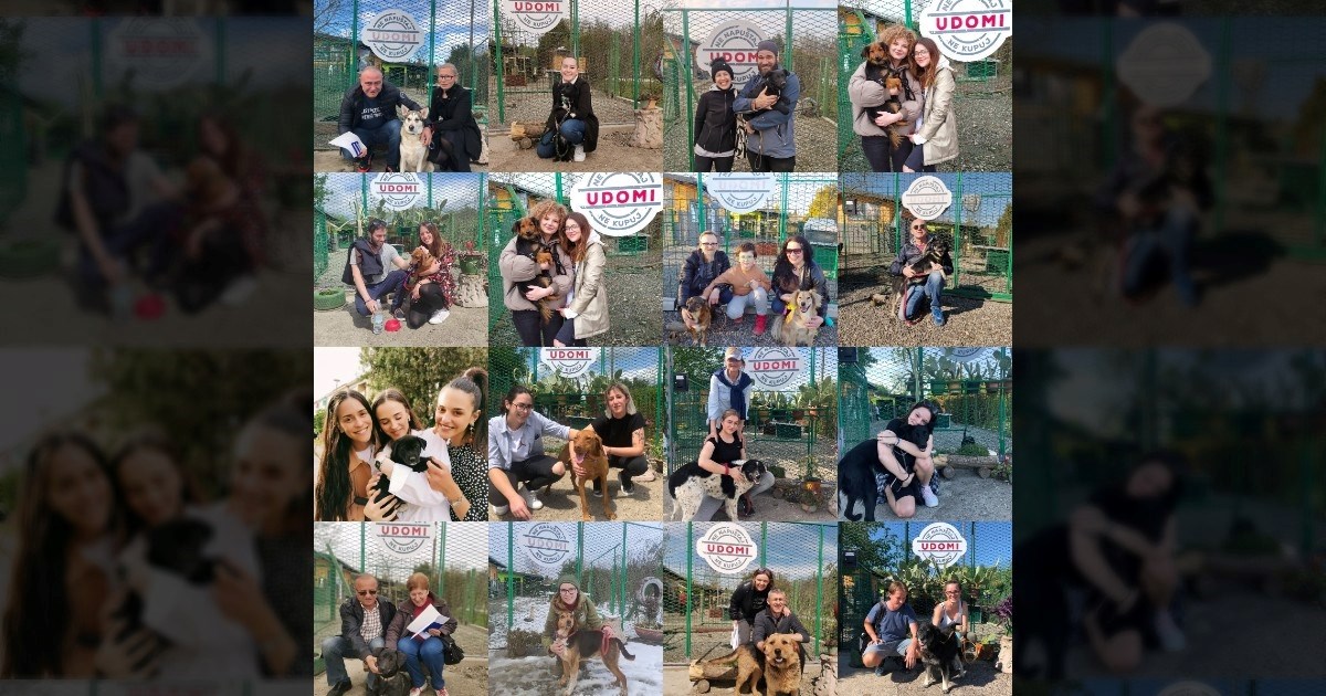 "Iza svakog broja stoji jedan život": Iz osječke udruge lani udomili 347 pasa
