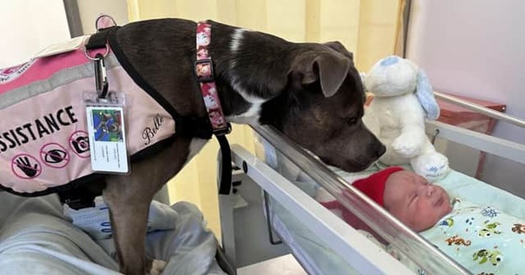 Bolnica prvi put dozvolila da pas bude uz vlasnicu na porodu, imala je poseban razlog