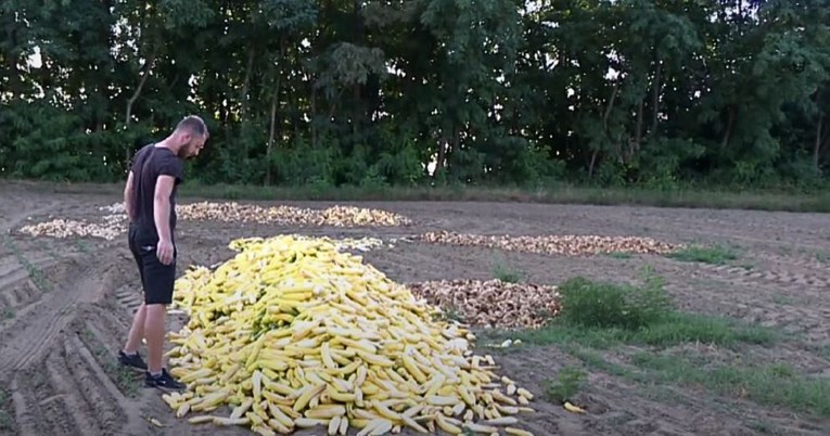 Povrćari bacili tone paprika i krastavaca. "Manji je trošak nego pakirati"