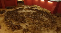 Tajanstvena drevna građevina izgrađena od kostiju mamuta otkrivena u Rusiji