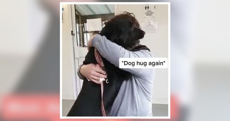 VIDEO Vlasnik nije vidio svog psa deset mjeseci, snimka susreta dirnula ljude