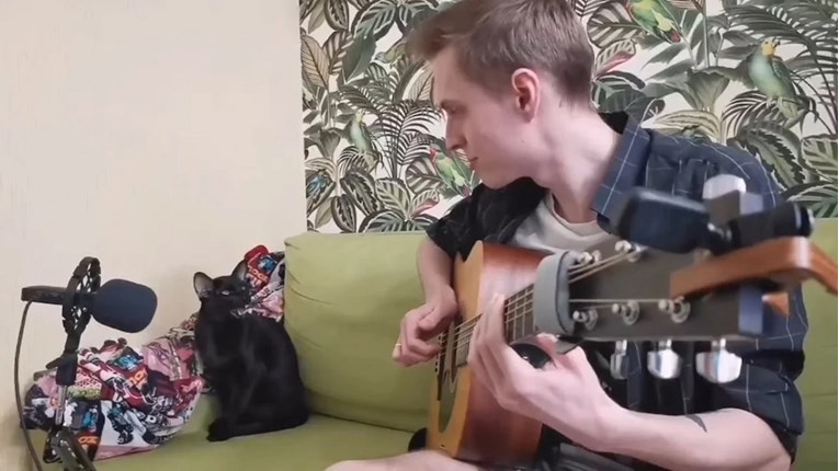 Mačak savršeno pjeva blues