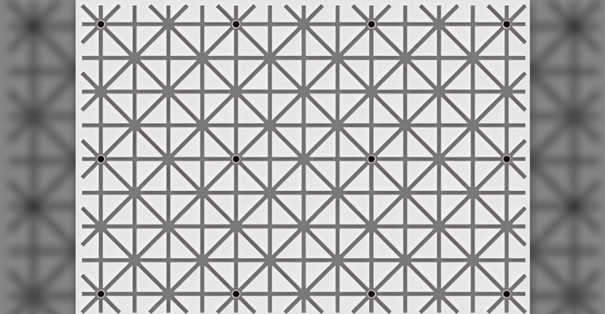 Na ovoj fotki nalazi se 12 crnih točaka. Možete li ih sve vidjeti istovremeno?