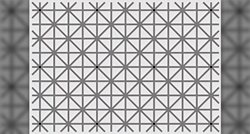 Na ovoj fotki nalazi se 12 crnih točaka. Možete li ih sve vidjeti istovremeno?