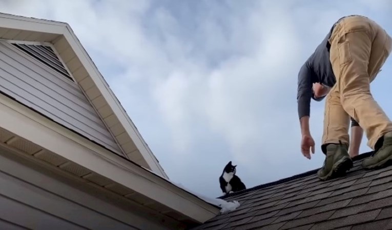 Znatiželjna mačka krenula u avanturu te završila na krovu s kojeg nije mogla sići