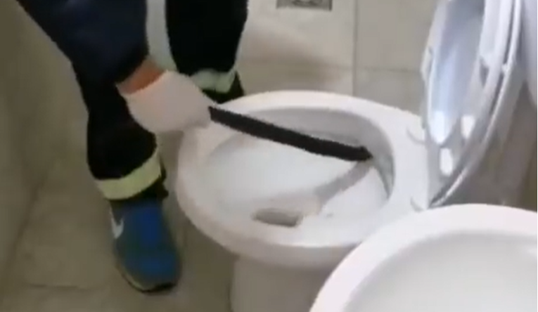 U Crnoj Gori curu uplašilo zmijoliko stvorenje u WC školjci, intervenirali vatrogasci
