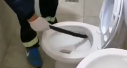 U Crnoj Gori curu uplašilo zmijoliko stvorenje u WC školjci, intervenirali vatrogasci