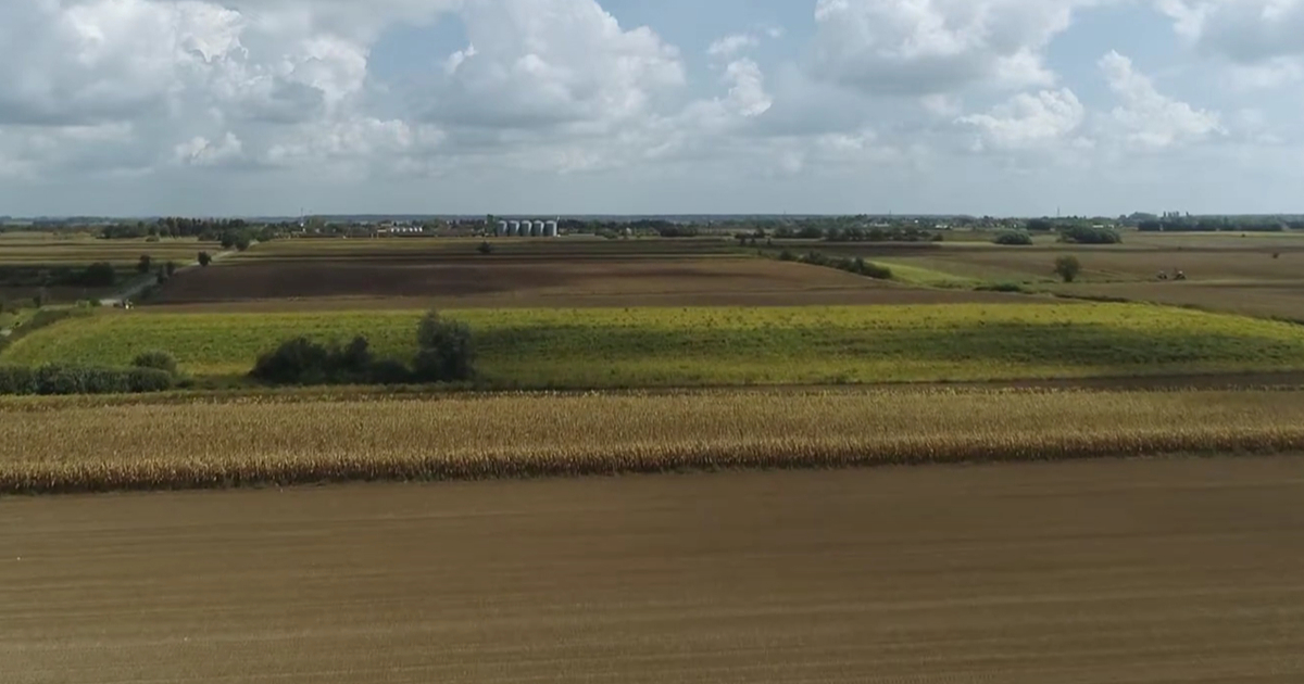 Fortenova prodala Vinku plus