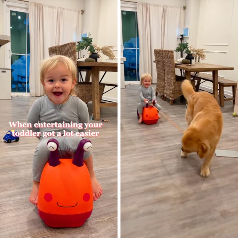 Mama se sjetila super ideje kako da istovremeno zabavi sina i psa. Oduševila idejom