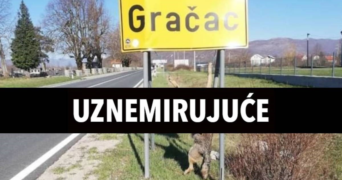Vuk obješen na tablu u Gračacu. Ministarstvo prijeti kaznama, stočari ogorčeni
