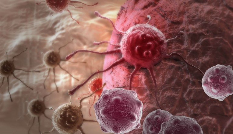Tim hrvatskih znanstvenika napravio veliki korak u istraživanju liječenja tumora