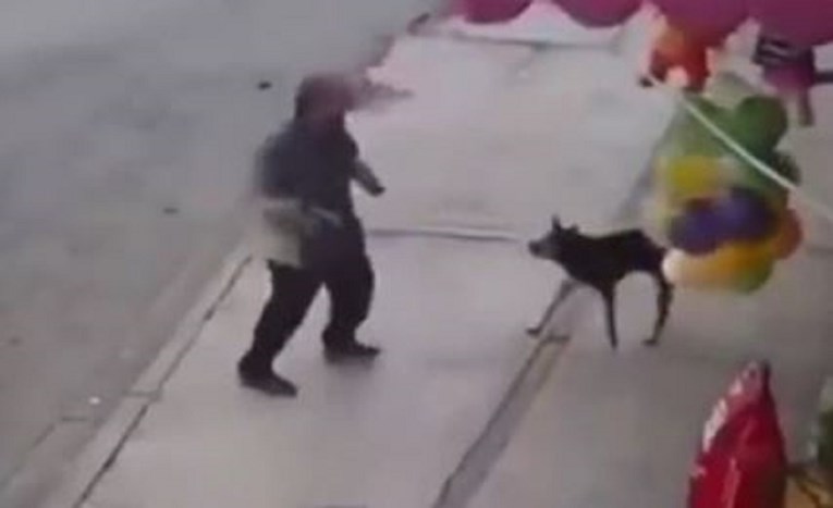 VIDEO "Instant karma": Pokušao šutnuti psa na ulici pa dobio što je tražio