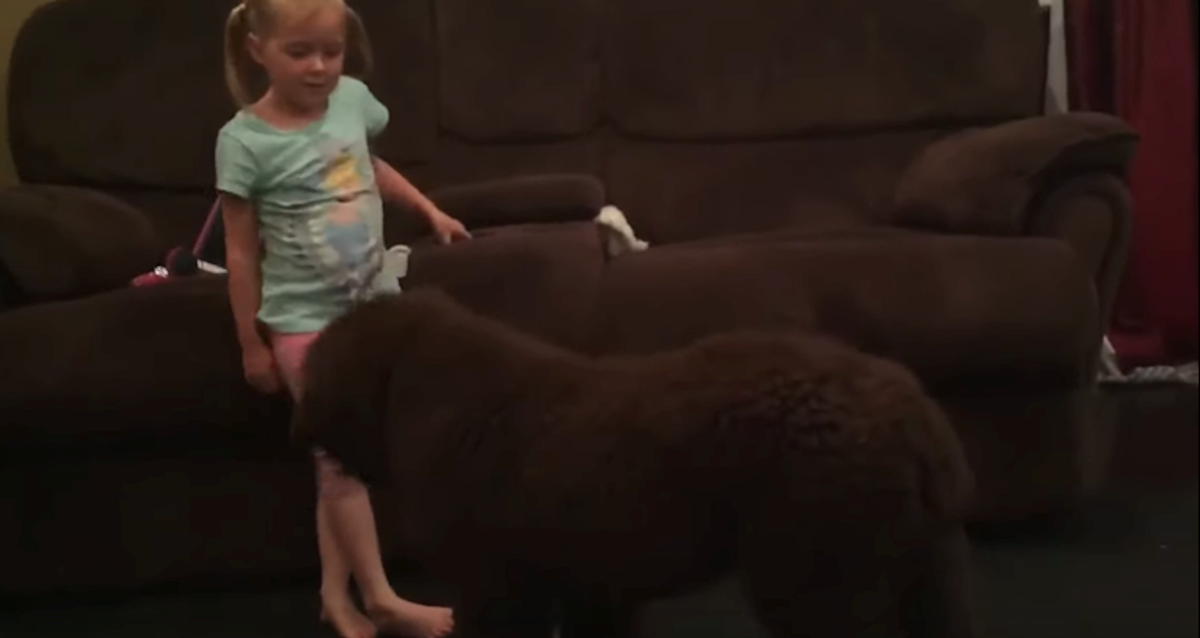 Psić gledao djevojčicu kako pleše pa učinio nešto genijalno