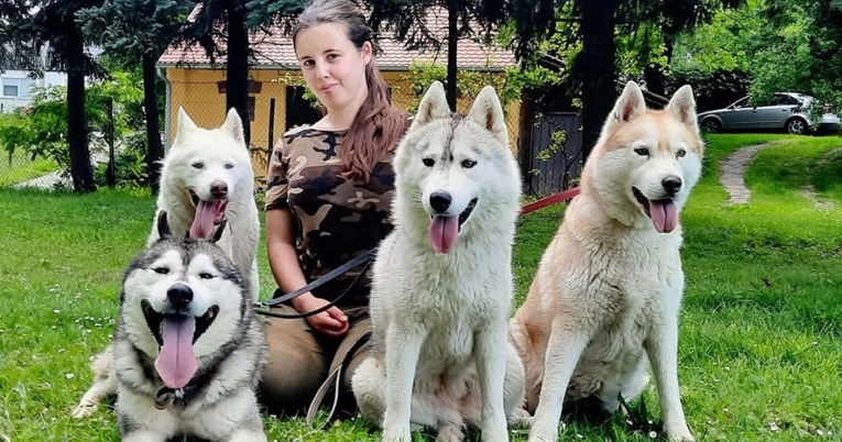 Samouvjereni su, ali zahtijevaju puno strpljenja: Upoznajte sibirske haskije