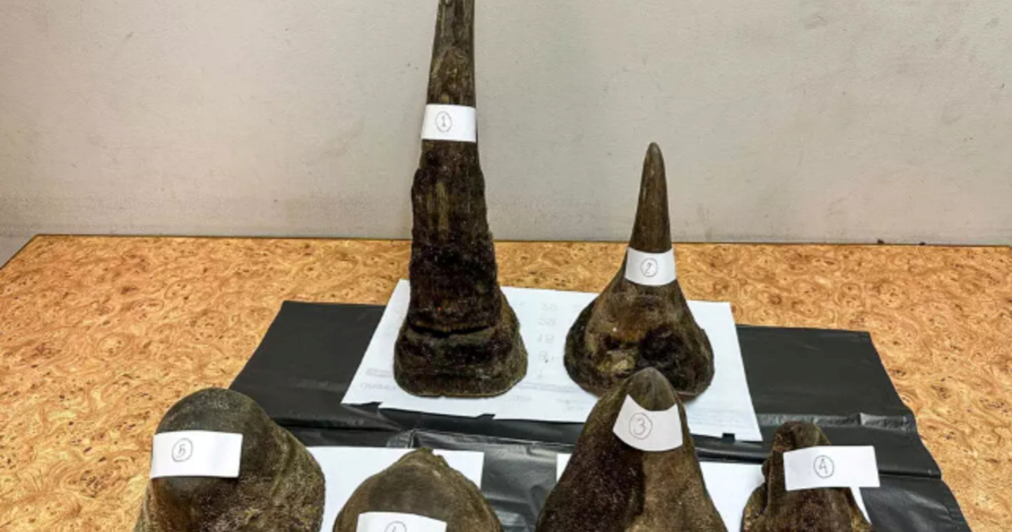 Vijetnamac pokušao prokrijumčariti rogove nosoroga. Sakrio ih u meso