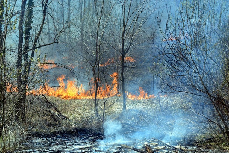 Oprezno s paljenjem vatre na otvorenom. Kazne su ogromne