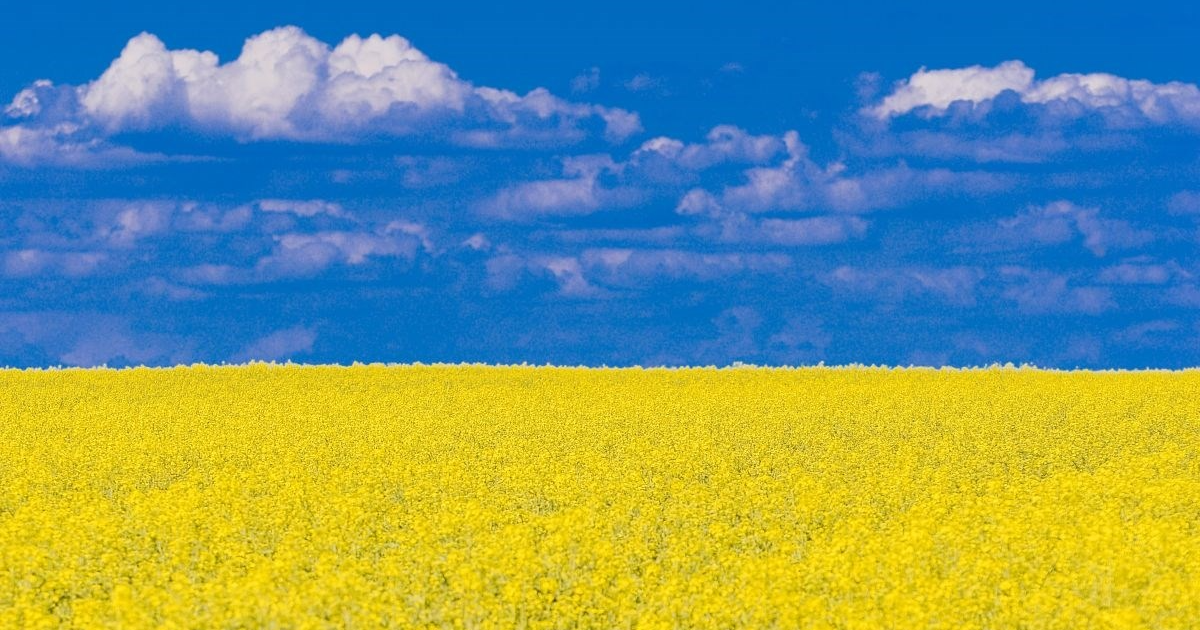 Zbog rata u Ukrajini širi se fotka iz okolice Vukovara, ovo je priča o njoj