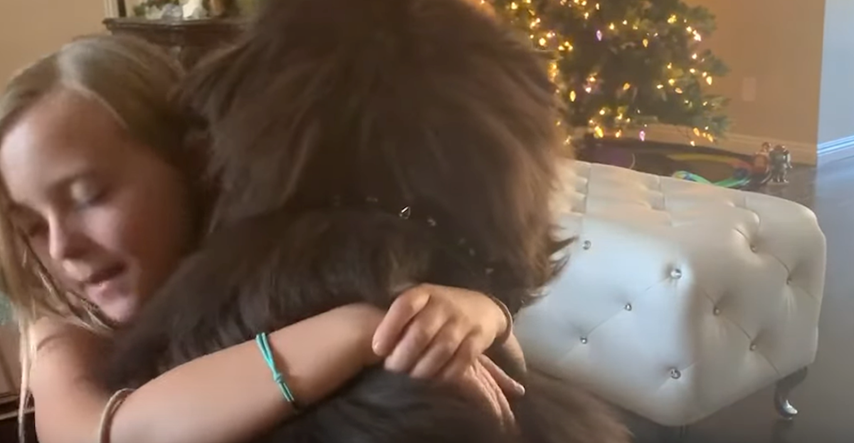 Ovaj video jasno pokazuje zašto newfoundland pse nazivaju nježnim divovima