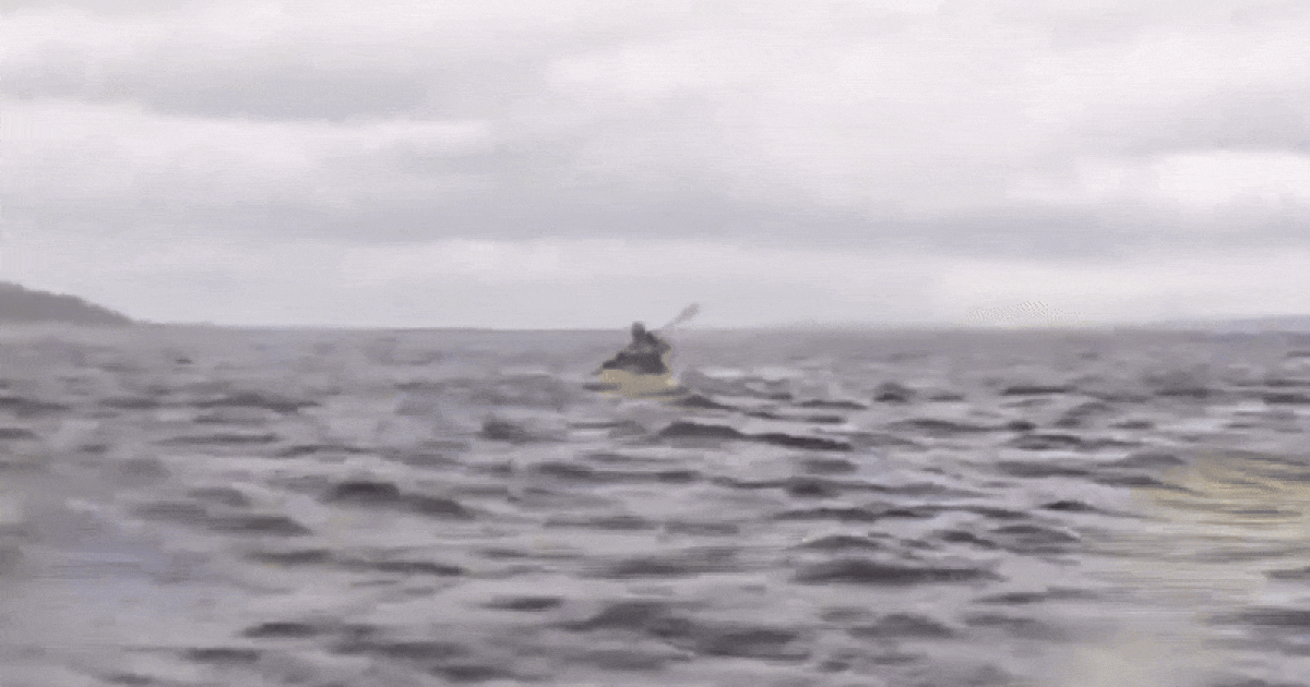 VIDEO Grbavi kit progutao pa ispljunuo kajakaša kod obale Čilea