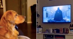 Reakcija psa nakon što je prvi put ugledao Dartha Vadera postala je viralna