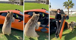 VIDEO Mladi medvjed otrgnuo vrata s Lamborghinija, reakcija vlasnika je neočekivana