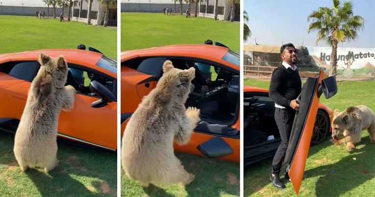 VIDEO Mladi medvjed otrgnuo vrata s Lamborghinija, reakcija vlasnika je neočekivana