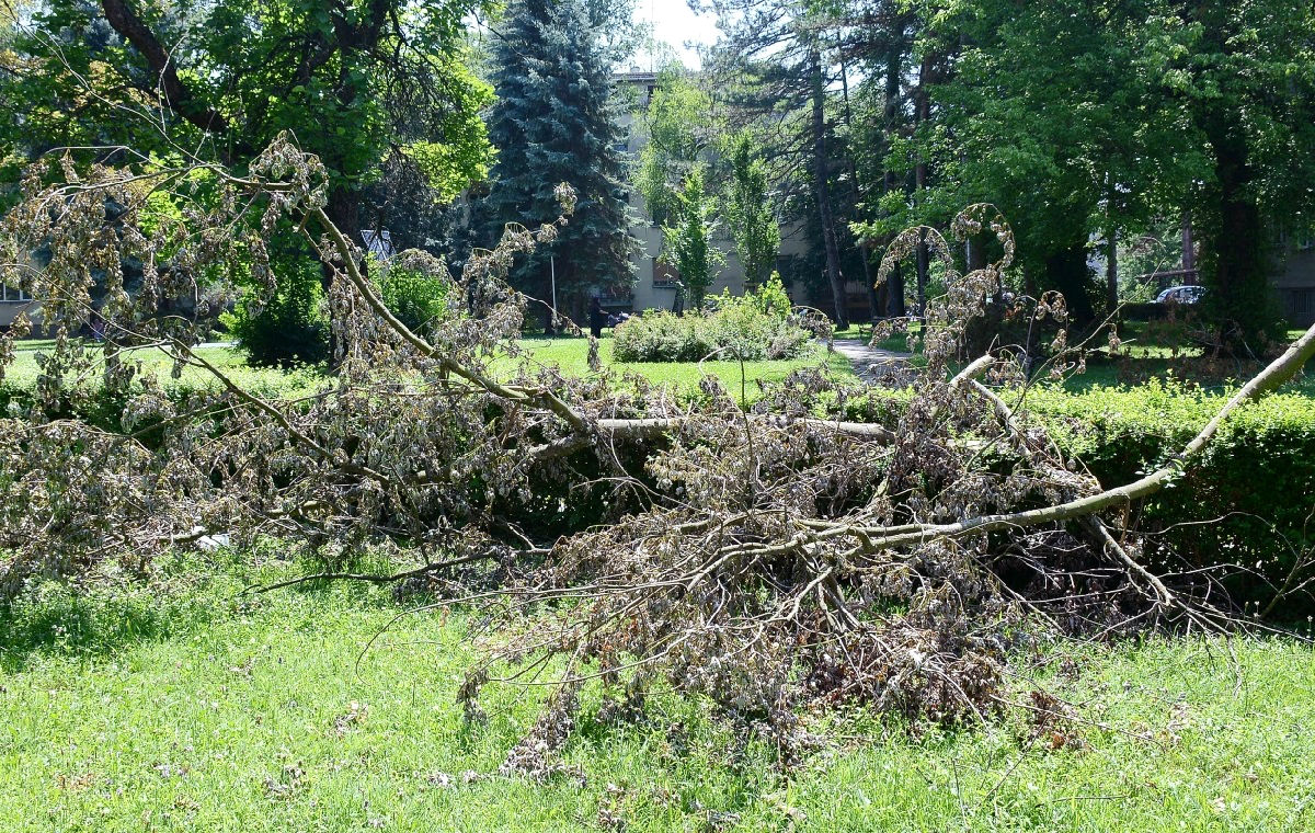 Nevrijeme poharalo Zagorje, vjetar nosio krovove i čupao stabla