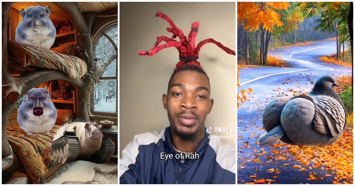 Od TikToka doslovno trune mozak